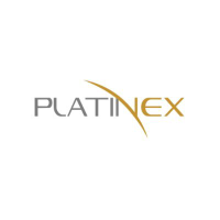 Logo von PTX Metals (QB) (PANXF).