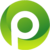 Logo von PBS Chain