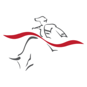 Logo von Matador Mining (MZZ).