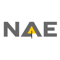 Logo von New Age Exploration (NAE).