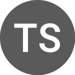 Logo von Test Security (TES).