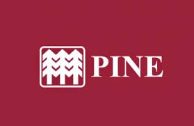 Logo von PINE PN