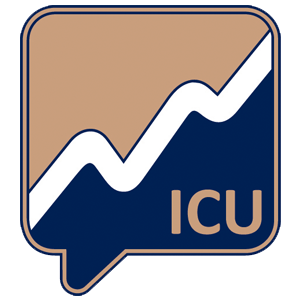 Logo von ICY (ICUSDT).