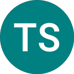 Logo von Total System Services (0LG1).