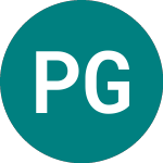 Logo von Peninsular Gold (PGL).