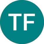 Logo von Talisman First Venture Cap (TFV).