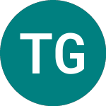 Logo von Tianshan Goldfields (TGF).