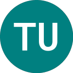 Logo von Tinf Us (usd) (TINF).
