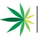 Logo von American Cannabis (QB) (AMMJ).