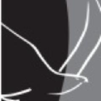 Logo von Eagle Graphite (CE) (APMFF).