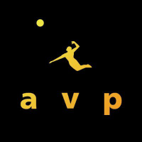 Logo von AVP (CE) (AVPI).