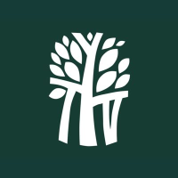 Logo von Banyon Tree (PK) (BYNEF).
