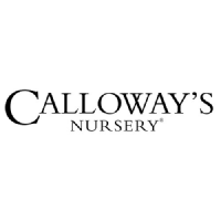 Logo von Calloways Nursery (CE) (CLWY).