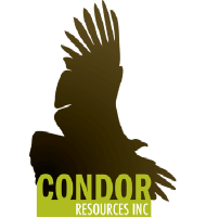 Logo von Condor Res (PK) (CNRIF).