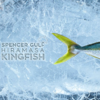 Logo von Clean Seas Seafood (PK) (CTUNF).
