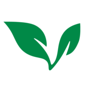 Logo von MedBright AI Investments (QB) (VNNYF).