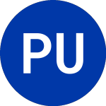 Logo von Platinum Underwritrs (PTP).
