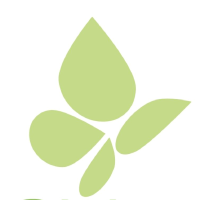 Logo von Pieridae Energy (PEA).